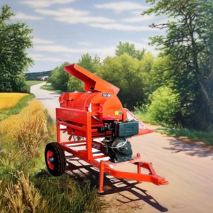 Trilladora Multifuncional Sabin AMT ED 01 con Motor Diésel de 10 HP y Capacidad de 400-700 kg/h - Product Image 3