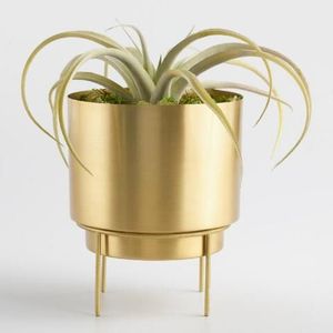 Sophisticated Iron Planter Decorative Indoor Outdoor Plant Pot Premium Garden Home Balcony Accent Solution Contemporary Style - Product Image 2