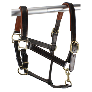 Collier de tête pour cheval de style anglais traditionnel haut de gamme, personnalisable en couleur et logo, design durable et confortable pour l'entraînement quotidien - Product Image 4