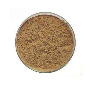 Offre exclusive sur l'extrait de plante de qualité assurée, 100% naturel et pur, poudre de Phyllanthus Niruri (Quebra Pedra) en vente - Product Image 1