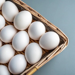 Huevos de Gallina Blancos Frescos de Granja, Estilo Orgánico, Altos en Proteínas, para Uso Diario, Cuidadosamente Seleccionados, Venta al por Mayor y al por Menor, Centro de Comercio - Product Image 4