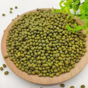 Frijoles mung verdes de EE. UU. Frijoles mung germinados de alta calidad. - Product Image 1