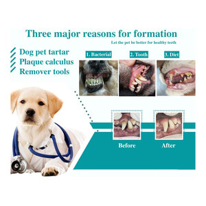 Removedor de Sarro para Perros y Gatos, Herramienta Dental Manual de Acero Inoxidable de 6 Piezas con Agarre Ergonómico para Limpieza Dental - Product Image 3
