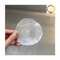 Coquille de Capiz pour l'éclairage |   Pièces de coquille rondes polies de 50 mm |   Lampes et lustres DIY |   Directement de l'usine