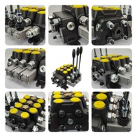Vanne de commande directionnelle hydraulique Hy-Waloil DCV100 à 3 sections, 100 L/min, 315 bars, pour irrigation, vente en gros usine