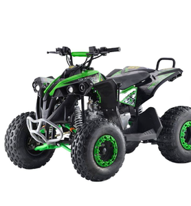 Quad à essence 110cc 125cc à deux temps pour enfants et adolescents avec certification CE - Product Image 2