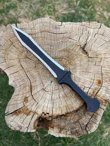 Espada Corta Negra de Doble Filo Estilo Gladius, Hoja de Acero al Carbono con Mango de Micarta y Funda, Personalizable OEM, ¡Venta Caliente! - Product Image 2