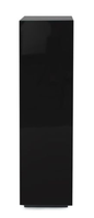 Table console moderne noire rectangulaire étroite avec rangement pour salon et entrée