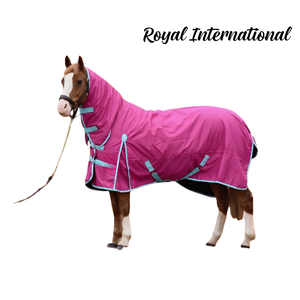 Couverture d'extérieur pour cheval avec cache-cou |   Tapis d'extérieur imperméable et résistant |   Couverture de protection intégrale pour l'hiver avec sangles réglables - Product Image 1