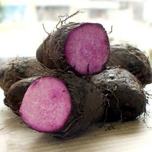 Raíz de Ube Congelada IQF, Tubérculo de Ñame Morado, en Cubos, en Rodajas, Rallado, Puré, Textura Cremosa, Color Morado Vibrante, Sabor Dulce Suave - Product Image 6