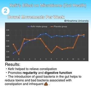 สติ๊กเกอร์โยเกิร์ตเคเฟอร์ญี่ปุ่น วัฒนธรรมการผลิตจากประเทศญี่ปุ่นเพื่อเสริมสร้างภูมิคุ้มกันและสุขภาพทางเดินอาหาร - Product Image 5