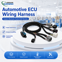 Harness Kabel Kustom Otomotif dengan Selubung Anyaman dan Konektor Multi Tipe untuk Perbaikan Modul Kontrol ECU Mobil