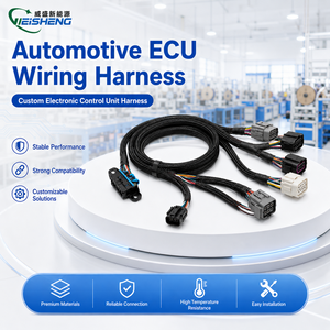 Faisceau de câblage automobile personnalisé avec gaine tressée et connecteurs multi-types pour la réparation du module de commande ECU de voiture - Product Image 1