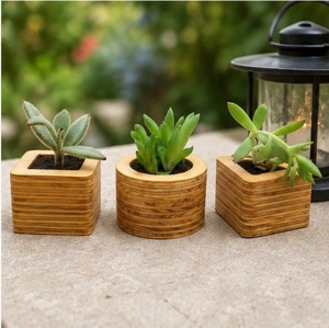 Minimalist Geometric Wooden Succulent Planter Set Eco-Friendly <b>Mini</b> Flower <b>Pots</b> for Modern Office Desktop & Home Decor - Product Image 4