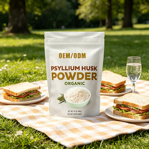 Extrait de Psyllium en Poudre de Haute Qualité OEM/ODM – Fibre Alimentaire, Substitut de Repas, Extrait Herbal Blanc - Product Image 2