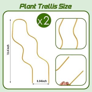 Poste de musgo curvo de metal dorado para Monstera y plantas trepadoras con 10 ataduras verdes - Product Image 2