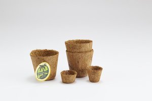 Macetas de Fibra de Coco de Calidad Premium para Exportación, Ideales para Jardinería Doméstica, Agricultura, Horticultura, Cultivo Hidropónico, Invernaderos y Granjas, Hechas en Sri Lanka - Product Image 4