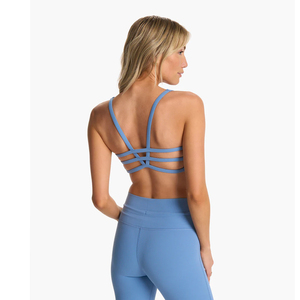 New Light <b>Blue</b> Design Ladies Spaghetti Strap <b>Bra</b> And Slim Waist Leggings Gym Light wear Performance Knit Set For Trailing - Product Image 5