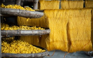 ใยไหมธรรมชาติแบบ100% สีเหลืองพรีเมี่ยมสำหรับสิ่งทอเส้นใยไหมงานฝีมือครึ่งตัดจากเวียดนาม - Product Image 3