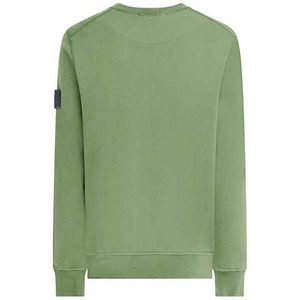 <b>Men's</b> <b>Green</b> Crew Neck Sweatshirt Regular Fit Solid Color 100% Cotton French Terry Pullover Casual Autumn Wear - Product Image 4