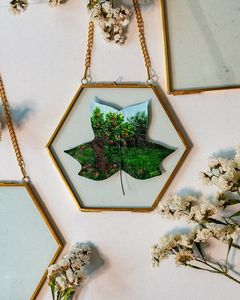 Cadre photo suspendu moderne en métal et verre, finition dorée, cadre flottant pour feuilles séchées, fleurs pressées, décoration botanique pour la maison - Product Image 2