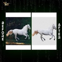 Edición de Imágenes de Vida Silvestre de Alta Calidad con Ajuste de Luz, Creación de Sombras y Realce de Color Disponible para la Venta