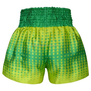 Pantalones Cortos de Pelea para Gimnasio, Pantalones Cortos de Cintura Elástica, Talla XL, Unisex, Personalizado, Sublimado, Satén Pesado, Muaythai, Boxeo, MMA - Product Image 3