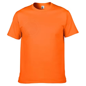 T-shirt en coton biologique de haute qualité pour homme, écologique, 100 % coton, coupe classique, logo frontal, tissu jersey 220g, vierge, vente en gros - Product Image 3