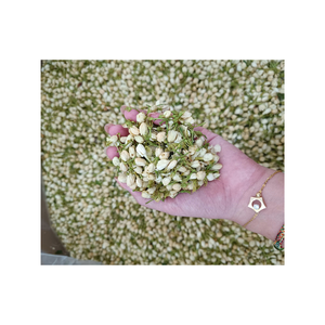 Té de Jazmín Seco al Por Mayor, Hojas Sueltas, Capullos de Jazmín Aromáticos, Té con Fragancia Natural, Suministro a Granel para Distribuidores Globales - Product Image 2