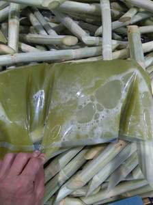 Jus de canne à sucre surgelé du Vietnam, pur et naturel, issu de canne à sucre fraîche, export en vrac - Product Image 6