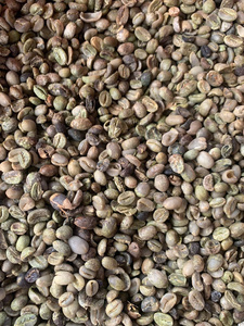 WHOLESALE ROASTED ARABICA <b>COFFEE</b> VIETNAM | LIGHT & MEDIUM ROAST | TOP QUALITY SINGLE ORIGIN SPECIALTY - Product Image 3