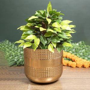 Flower Vase for Fresh & <b>Artificial</b> Flowers Handmade Display Flower Vase Top Trending Decorative Floor Table Decor Available <b>Best</b> - Product Image 1