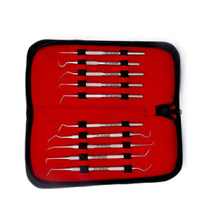 ชุดอุปกรณ์ทำความสะอาดฟันระดับมืออาชีพ ชุดดูแลสุขภาพช่องปาก สำหรับขจัดคราบพลัค หินปูน และคราบหินสะสม  ทำจากสแตนเลสสตีล - Product Image 4