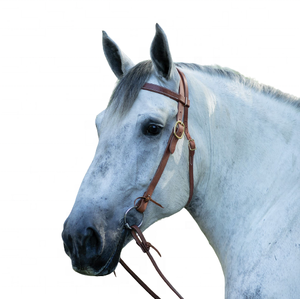 Headstall d'équitation en cuir de style occidental de qualité supérieure - Product Image 1
