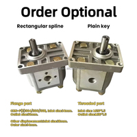 Hy-waloil CBN Serie Hydraulische Zahnradpumpe 6 cm³/Umdrehung Betriebsdruck 250 bar für Landwirtschaftliche Geräte