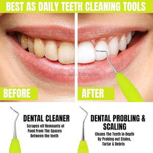 Plaque Remover Tartar Scraper Manual Stainless Steel Double-Ended Dental Instrument for Dentist and Pet Use - Product Image 3