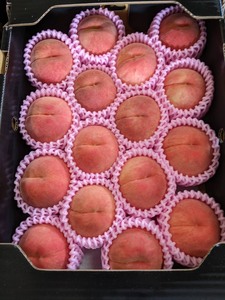 ราคาสุดคุ้ม คุณภาพเยี่ยม รสชาติแปลกใหม่ ฉ่ำหวาน หอมหวาน ผลไม้พีชแดงญี่ปุ่น - Product Image 4