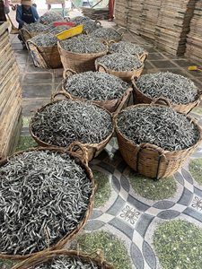 บลูโลตัส บลูโลตัสฟาร์ม ปลาแอนโชวี่แห้งคุณภาพสูง เกรดพรีเมียม นำเข้าจากเวียดนาม โฮจิมินห์ อายุการเก็บรักษา 24 เดือน - Product Image 5