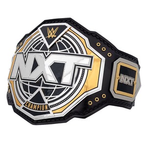 Réplica del Cinturón de Campeonato NXT 2024 - Product Image 1