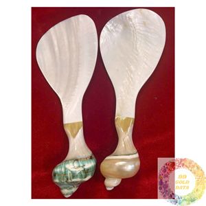 Cuchara de Concha Marina Hecha a Mano en Vietnam, Fabricante de Vajilla de Conchas Naturales para el Hogar, Cocina, Restaurantes y Tiendas de Regalos - Product Image 1