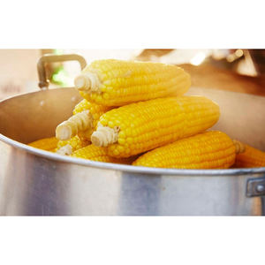 ข้าวโพดสีเหลือง ข้าวโพดแห้ง ข้าวโพดป๊อปคอร์น - Product Image 2