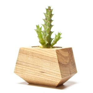 Lot de mini supports de plantes en bois pour table, modernes, faits à la main, écologiques, qualité supérieure, pour Ramadan, mariage, anniversaire, vente en gros à bas prix - Product Image 1