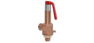 Válvula de Seguridad Premium de Bronce con Resorte, Tipo Pop, Descarga Abierta, Alta Presión, para Vapor, Aire y Aceite, OEM - Product Image 4