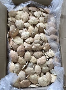 Coquille de crabe naturelle séchée de haute qualité pour l'alimentation en restauration, provenant du Vietnam / Coquille de crabe entière nettoyée à prix abordable pour l'exportation - Product Image 4