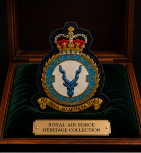 Écusson brodé personnalisé RAF-60 avec motif Aigle Couronné, à coudre en dentelle, badge en tissu avec épingle de sûreté pour vêtement, style circulaire - Product Image 6