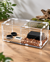 Boîte d'hébergement pour reptiles en plastique acrylique moderne, enclos pour animaux de compagnie, écologique, sûr, durable, motif personnalisé, pour geckos