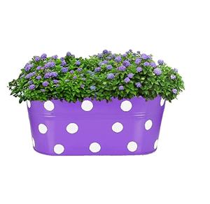 <b>Decorative</b> Metal <b>Plant</b> <b>Pot</b> Scrolled Rail Fence Planter Flower <b>Pot</b> <b>for</b> Customized Size Cheap Price with Sale - Product Image 1