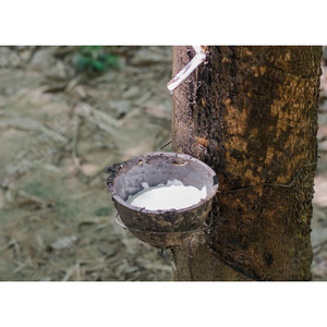 Industrial Grade Natural White Latex for <b>Rubber</b> Thread <b>Production</b> Elastic Components and Technical <b>Rubber</b> Goods - Product Image 4