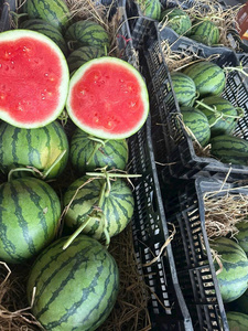 แตงโมไร้เมล็ดสดใหม่จากเวียดนาม – เนื้อแดงหวาน ตัวเลือกที่ดีที่สุดสำหรับผู้นำเข้าและผู้จัดจำหน่าย - Product Image 3