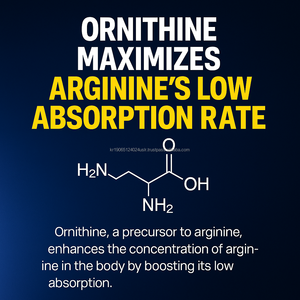 Polvo de L-Arginina de Alta Potencia con L-Ornitina y Taurina |   Suplemento de Aminoácidos para Adultos OEM Corea - Product Image 6